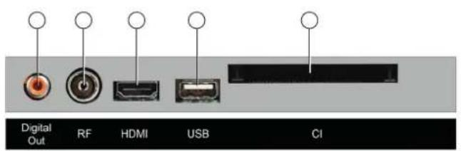 Digital Out RF HDMI USB CI