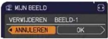 HITACHI CP-D27WNEF - NETWERK menu - 9