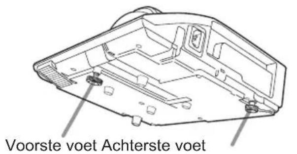 Voorste voet Achterste voet