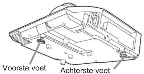 Voorste voet Achterste voet