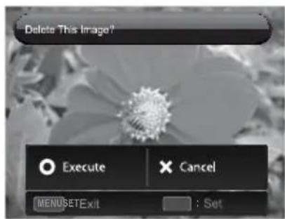 Delete This Image? Execute Cancel MENUSETExit : Set