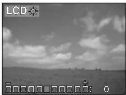 RICOH Caplio RR120 - Adjusting the LCD Monitor Brightness - 3