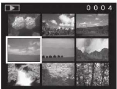 RICOH Caplio RR120 - Displaying a List of Image Thumbnails - 1