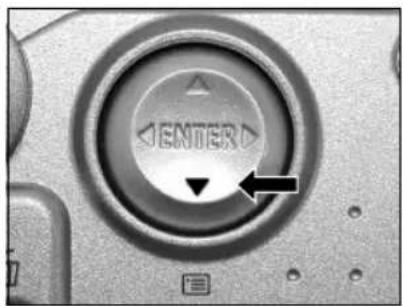 RICOH Caplio RR120 - Slideshow Playback - 1