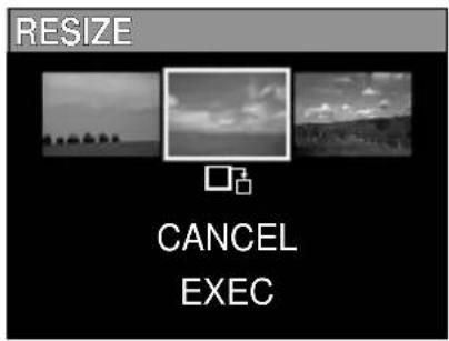 RESIZE CANCEL EXEC