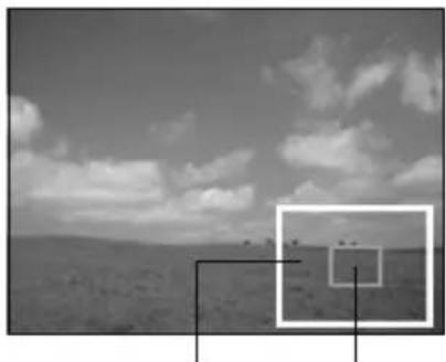 RICOH Caplio RR120 - Enlarging Photographed Images (Zoom Playback) - 1
