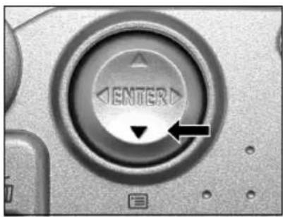 RICOH Caplio RR120 - Reducing the Image Size (Resize) - 1