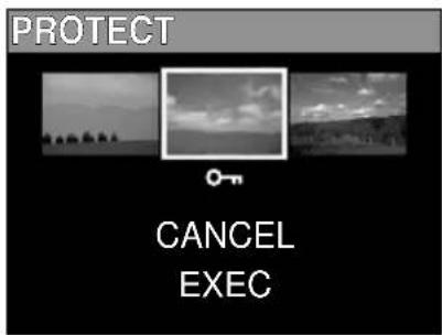 PROTECT CANCEL EXEC