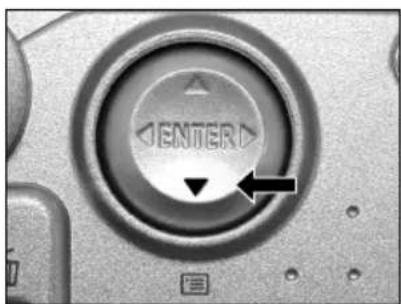 RICOH Caplio RR120 - Compressing Images (Quality) - 1