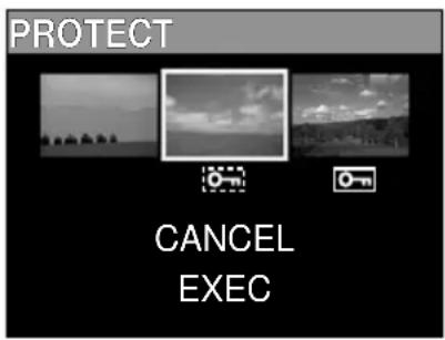 PROTECT CANCEL EXEC