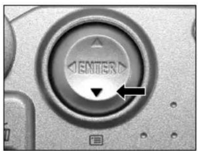 RICOH Caplio RR120 - Protecting an Image - 1