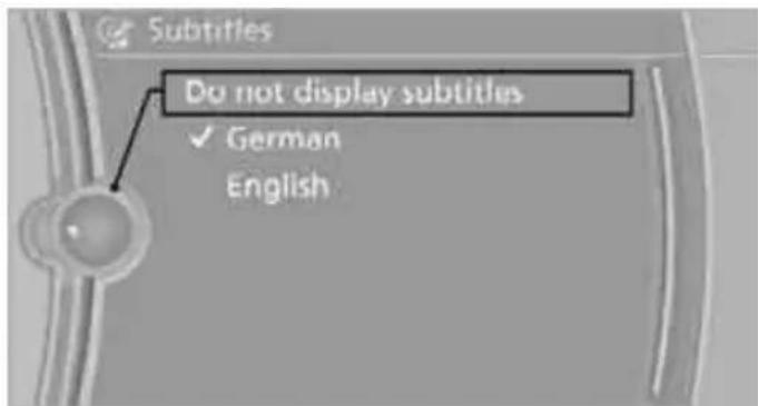 Subtitles Do not display subtitles ✓ German English