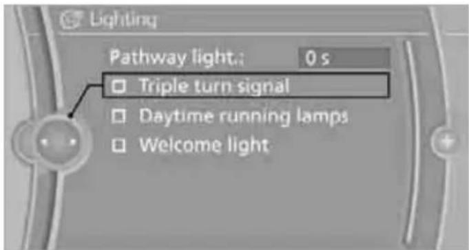Lighting Pathway light: 0 s Triple turn signal Daytime running lamps Welcome light