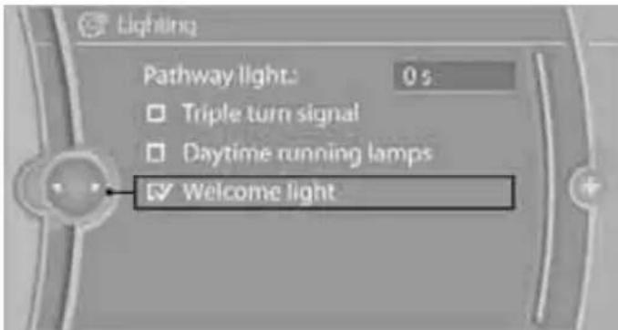 Lighting Pathway light: 0 s Triple turn signal Daytime running lamps Welcome light