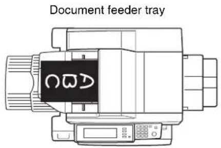 Document feeder tray
