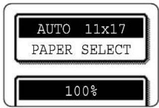 AUTO 11x17 PAPER SELECT 100%