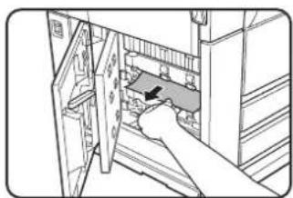 SHARP MX-M700U - Remove the misfed paper. - 1