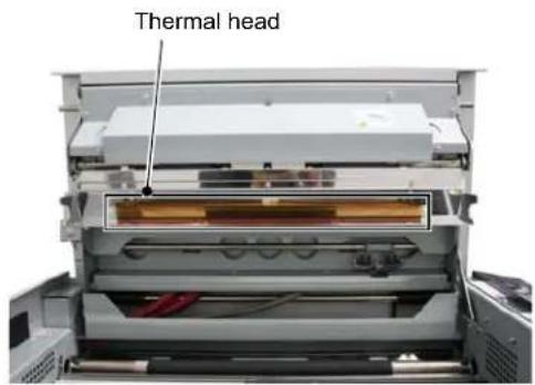 Thermal head