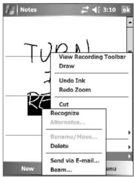Notes View Recording Toolbar Draw Undo Ink Redo Zoom Cut Recognize Alternates... Rename/Move... Delete Send via E-mail... Beam...