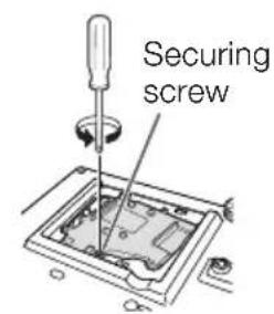 Securing screw