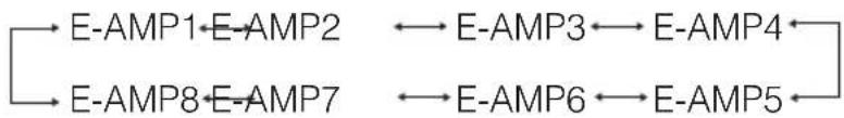 ECLIPSE CD8455 - Displaying Amplifier Status (E-AMP DISP) - 1