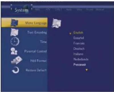 AC Ryan Playon!DVR TV - Changing System Settings - 2