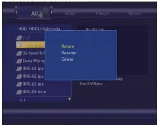 All HDD HDD1/Multimedia No 100 Tps 1..1 03-beautiful Dana Winne IMG-01.jpg IMG-02.jpg IMG-03.jpg IMG-04.bmp 2/11 Size:3 MBytes Return Rename Delete