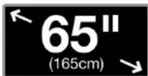 65" (165cm)