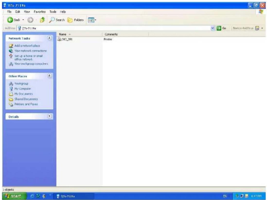 NTs-7119a File Edit View Favorites Tools Help Back Search Folders Address NTs-7119a Name Comments OKI_391 Printer Other Places Workgroup My Computer My Documents Shared Documents Printers and Flakes Details objects start NTs-7119a 0.47PM