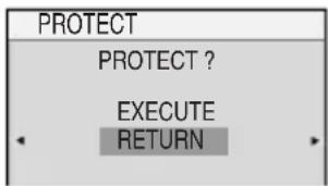 PROTECT PROTECT ? EXECUTE RETURN