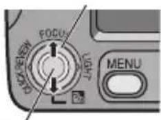 FOCUS MENU