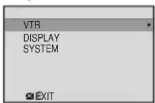 VTR DISPLAY SYSTEM EXIT