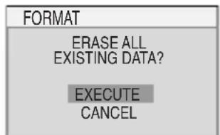 FORMAT ERASE ALL EXISTING DATA? EXECUTE CANCEL