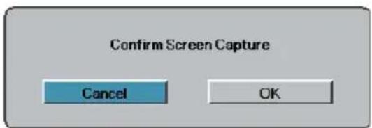 Confirm Screen Capture Cancel OK