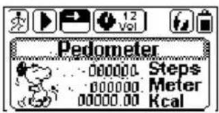 Pedometer 000000 Steps Meter 000000 Kcal