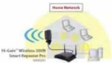 Home Network HS-Gain™ Wireless-300R Smart Representer Pro