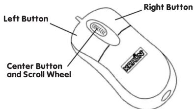 Left Button Right Button Center Button and Scroll Wheel