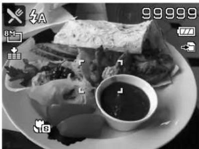 PHILIPS DSC90SL - Using Food Mode - 1