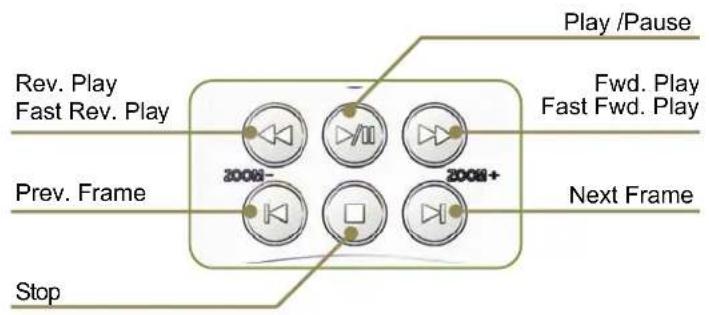 Play /Pause Rev. Play Fast Rev. Play Fwd. Play Fast Fwd. Play Prev. Frame 2008- 2008+ Next Frame Stop