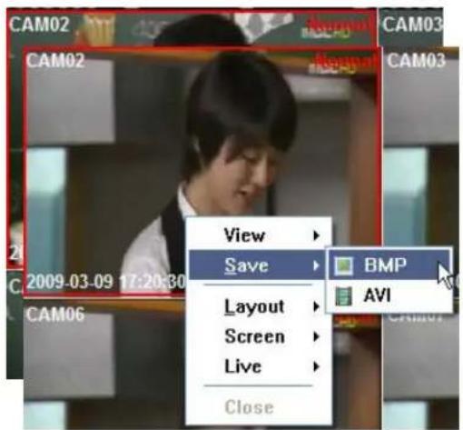 CAM02 CAM02 CAM03 View Save Layout Screen Live Close BMP AVI