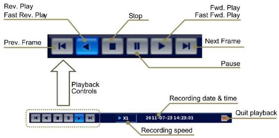 Rev. Play Fast Rev. Play Prev. Frame Stop Fwd. Play Fast Fwd. Play Next Frame Pause Playback Controls Recording date & time Quit playback Recording speed X1 2011-07-23 14:23:01