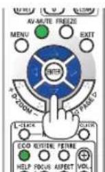 NEC P451X - Press the D-ZOOM (+) button to magnify the picture. - 3