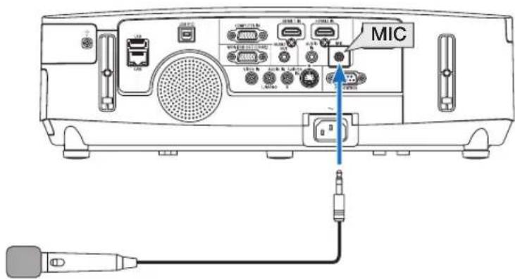 MIC