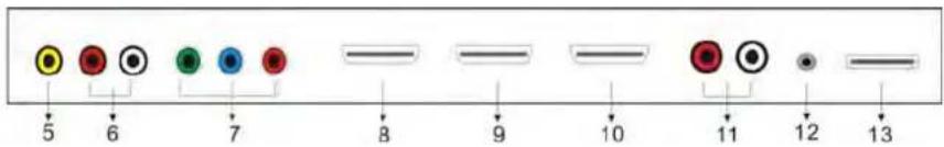 5 6 7 8 9 10 11 12 13