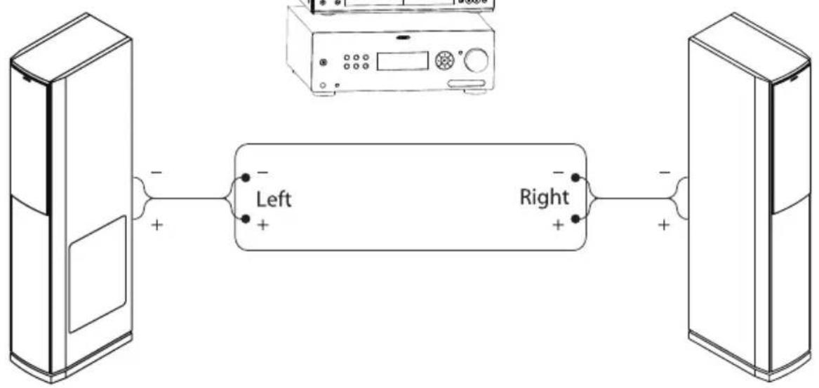 Diagram showing a device connected to two speakers, with labeled left and right sides and polarity indicators.