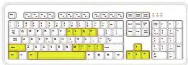 Rosewill RK-8100 - Reset Key to Default: - 12