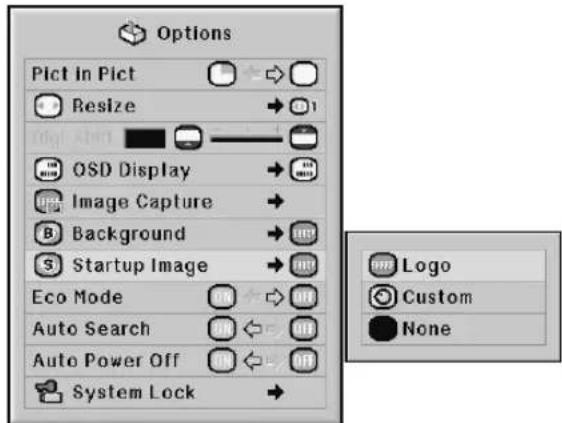Options Pict in Pict Resize OSD Display Image Capture Background Startup Image Eco Mode Auto Search Auto Power Off System Lock Logo Custom None