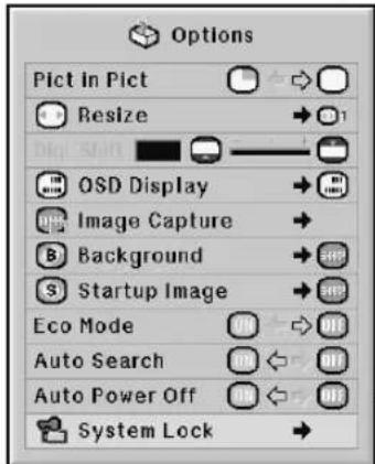 Options Pict in Pict Resize OSD Display Image Capture Background Startup Image Eco Mode Auto Search Auto Power Off System Lock