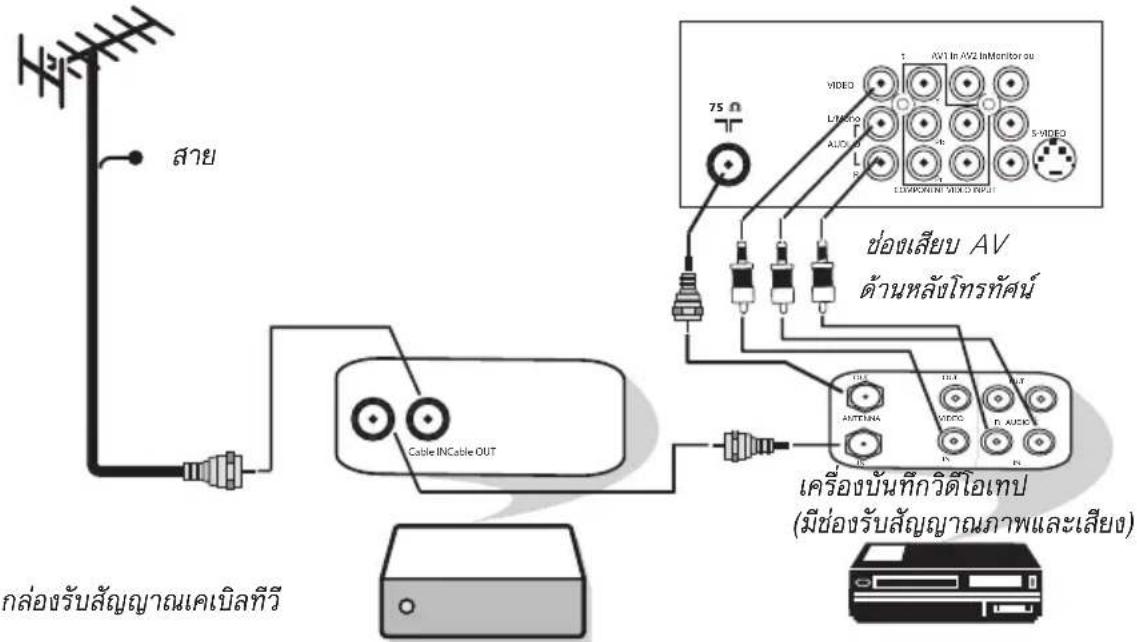 สาย 75 Ω AV1 In AV2 InMonitor ou VIDEO LTV AUDIO S VIDEO LEMONI MEXO INPUT ช่องเสียบ AV ด้านหลังโทรศัศน์ Cable INCable OUT เครื่องบันทีกวิตโอเทป (มีช่องรับสัญญาณภาพและเสียง) กล่องรับสัญญาณเคเบิลทีวี