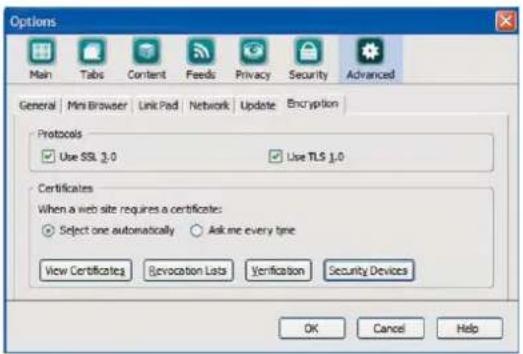 Sveon SCT020 - Netscape - 1